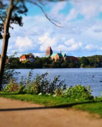 Naturaufnahme Ratzeburg